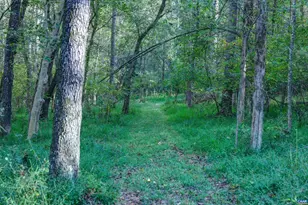 4710 Dickerson Rd, Charlottesville, VA 22911 - Photo 72