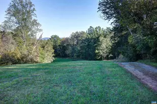 4710 Dickerson Rd, Charlottesville, VA 22911 - Photo 68