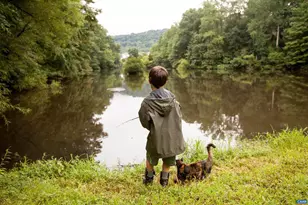 29 Fowler St, Charlottesville, VA 22911 - Photo 10