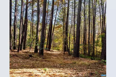 1190 Trillium Rd, Earlysville, VA 22936 - Photo 40