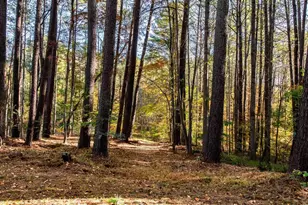 1190 Trillium Rd, Earlysville, VA 22936 - Photo 40