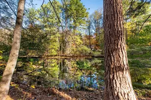 1190 Trillium Rd, Earlysville, VA 22936 - Photo 28