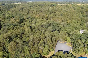 2620 Wind River Rd, Charlottesville, VA 22901 - Photo 48