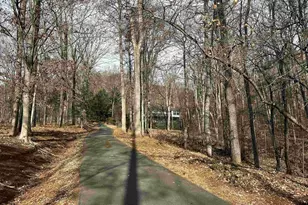 423 Foothills Dr, Nellysford, VA 22958 - Photo 8