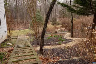 423 Foothills Dr, Nellysford, VA 22958 - Photo 60