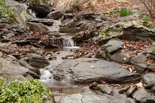 423 Foothills Dr, Nellysford, VA 22958 - Photo 58