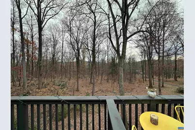 423 Foothills Dr, Nellysford, VA 22958 - Photo 28