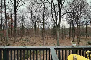 423 Foothills Dr, Nellysford, VA 22958 - Photo 28