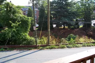 211 Chancellor St, Charlottesville, VA 22903 - Photo 8