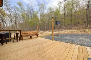 136 Wildwood Ln, Shenandoah, VA 22849 - Photo 10