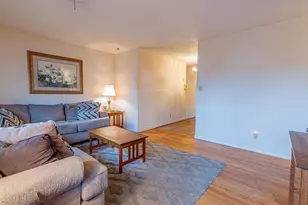 1211 Holmes Ave, Charlottesville, VA 22901 - Photo 14