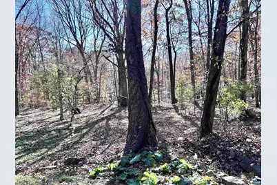 2003 Sweet Hollow Ln, Charlottesville, VA 22903 - Photo 16