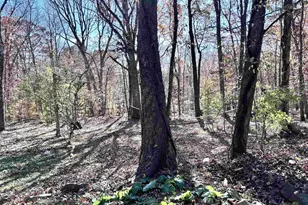 2003 Sweet Hollow Ln, Charlottesville, VA 22903 - Photo 16