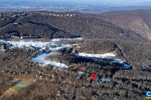 21 Tyro Ln, Wintergreen Resort, VA 22967 - Photo 42