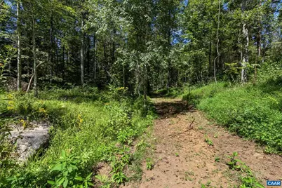 12 Langdon Woods Dr, Dyke, VA 22935 - Photo 68