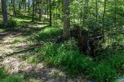 12 Langdon Woods Dr, Dyke, VA 22935 - Photo 70