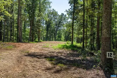 12 Langdon Woods Dr, Dyke, VA 22935 - Photo 62