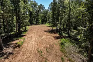 12 Langdon Woods Dr, Dyke, VA 22935 - Photo 64