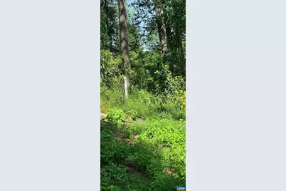 12 Langdon Woods Dr, Dyke, VA 22935 - Photo 52