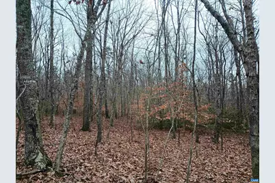 0 Axtell Rd, Scottsville, VA 24562 - Photo 8