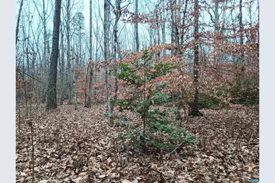 0 Axtell Rd, Scottsville, VA 24562 - Photo 14