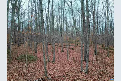 0 Axtell Rd, Scottsville, VA 24562 - Photo 6