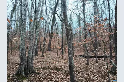 0 Axtell Rd, Scottsville, VA 24562 - Photo 10