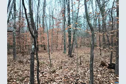 0 Axtell Rd, Scottsville, VA 24562 - Photo 12