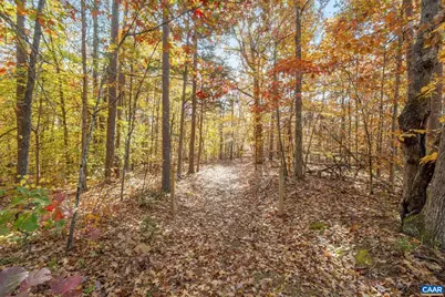 0 Dell Perkins Rd, Louisa, VA 23093 - Photo 6