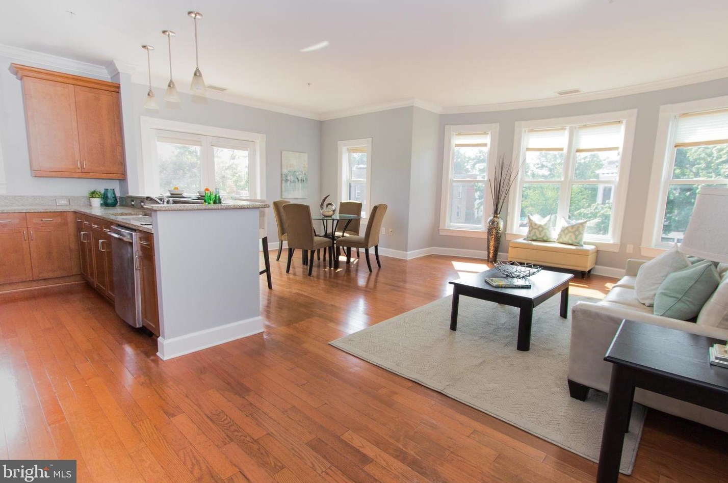 401 13th St Ne #311, Washington, DC 20002