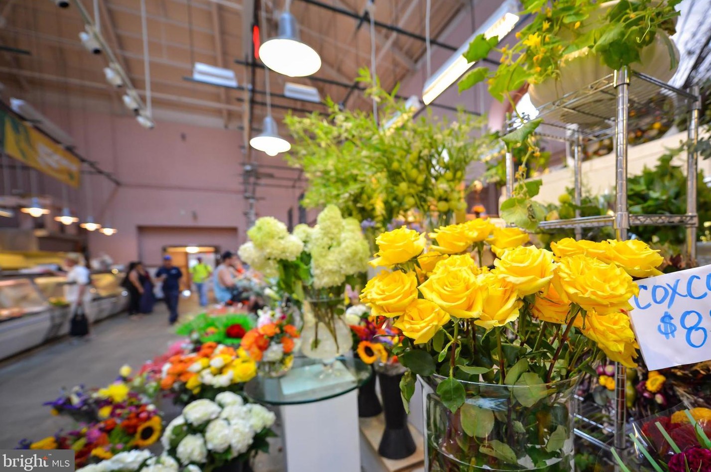 23 7 St, Washington DC 20003-4419 exterior