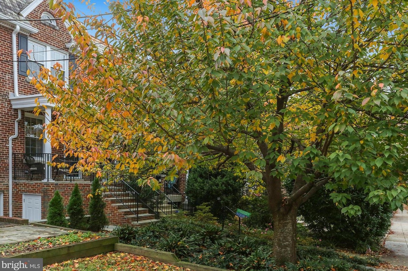 3764 W St Nw, Washington, DC 20007