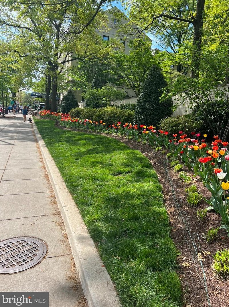 3100 Connecticut Ave Nw #241, Washington, DC 20008