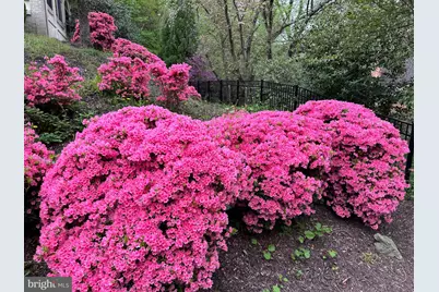 950 25th NW #814N, Washington, DC 20037 - Photo 42