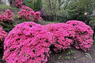 950 25th NW, Washington, DC 20037 - Photo 42