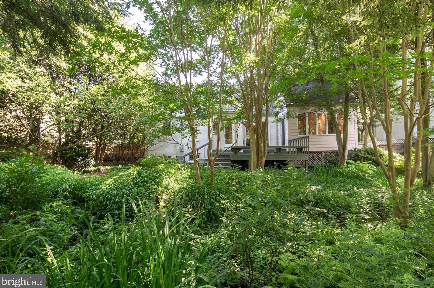 5326 Sherier Pl Nw, Washington, DC 20016