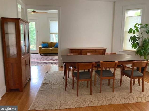 520 Butternut St Nw, Washington, DC 20012