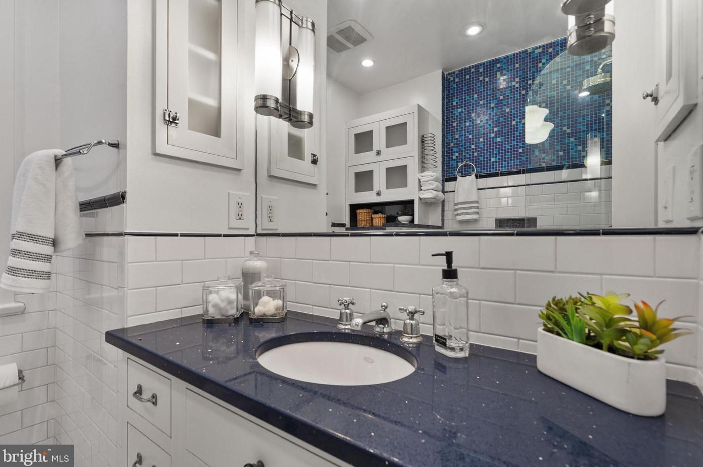 318 Carolina Ave, Washington DC 20003-2004 exterior