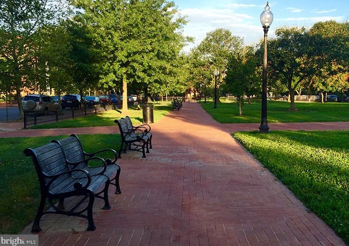 318 Carolina Ave, Washington DC 20003-2004 exterior