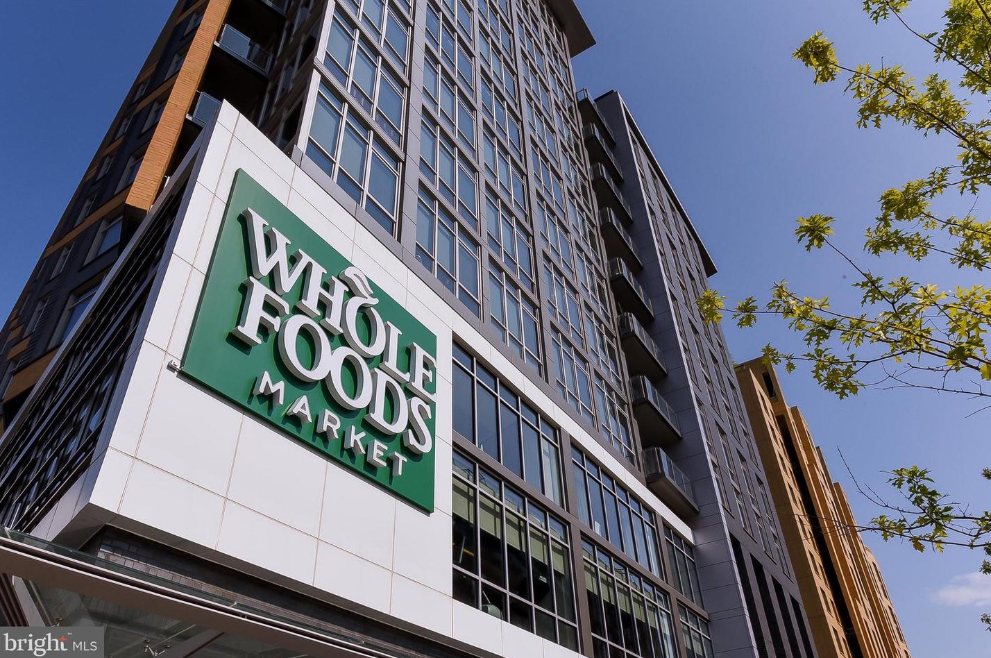 318 Carolina Ave, Washington DC 20003-2004 exterior