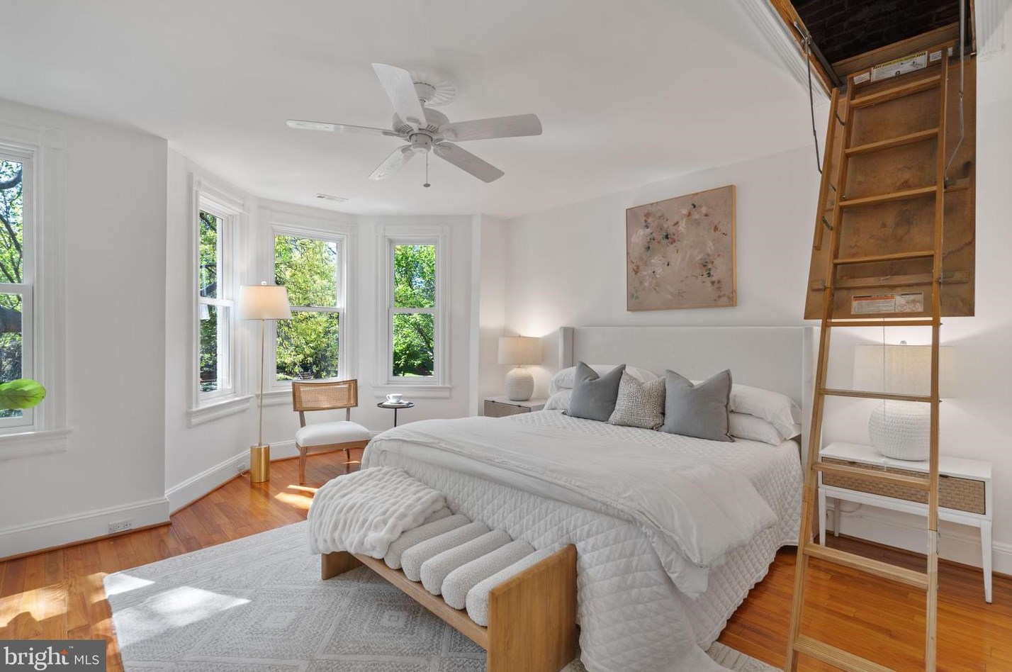 318 Carolina Ave, Washington DC 20003-2004 exterior