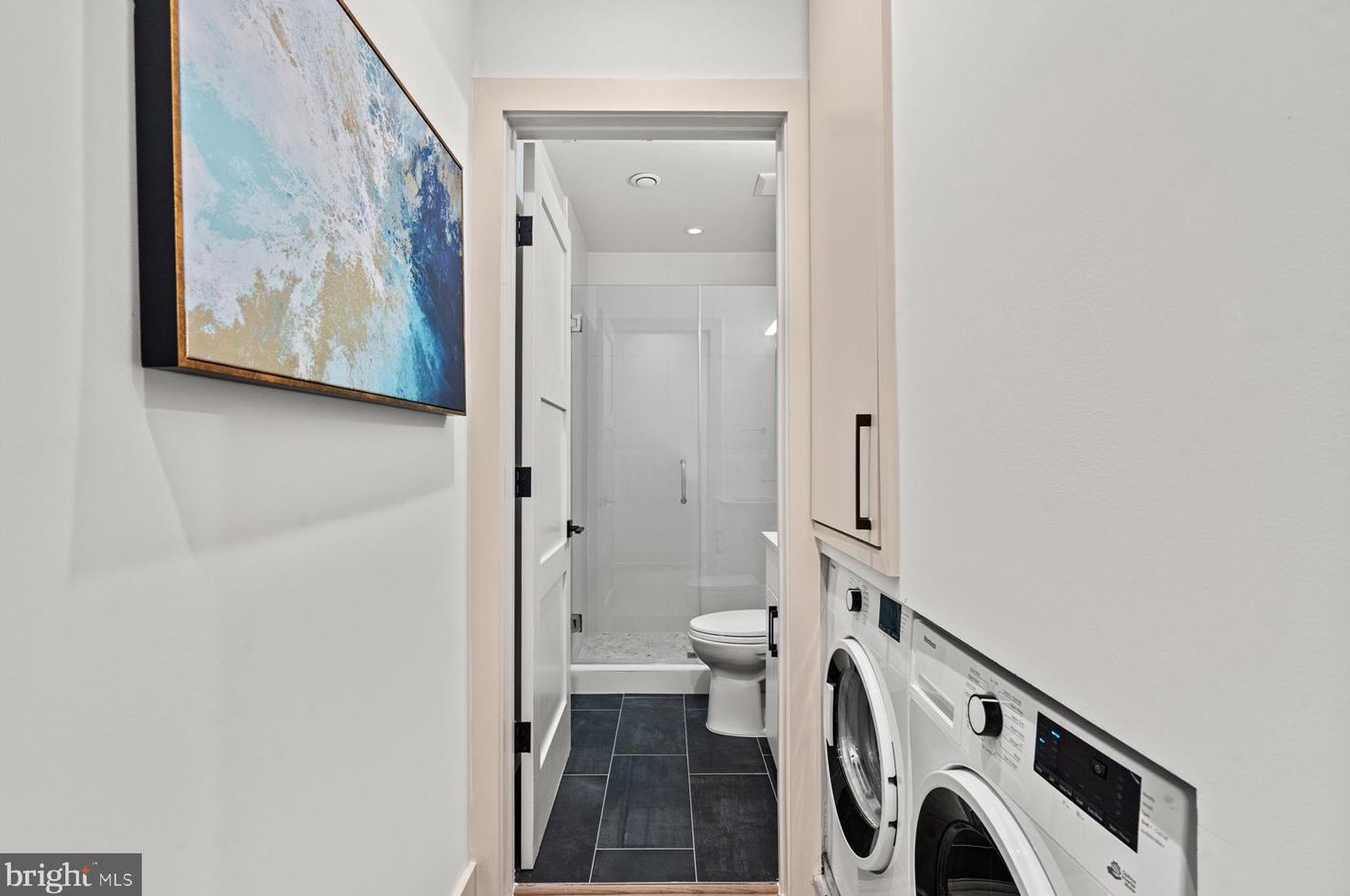 256 15th St, Washington DC  20003-2336 exterior