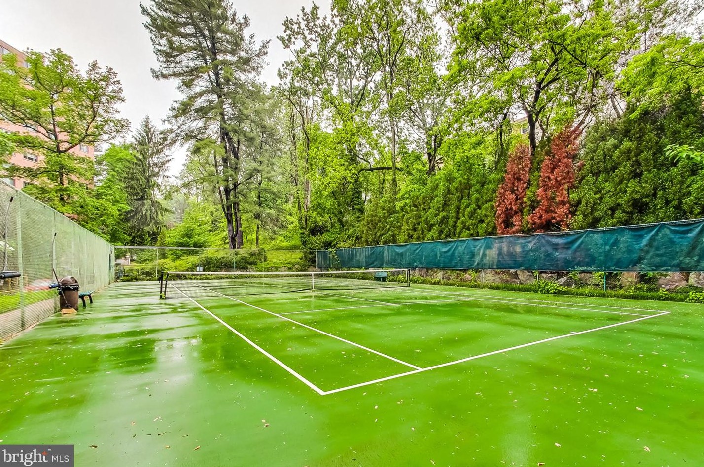 4201 Cathedral Ave, Washington DC  20016-4901 exterior