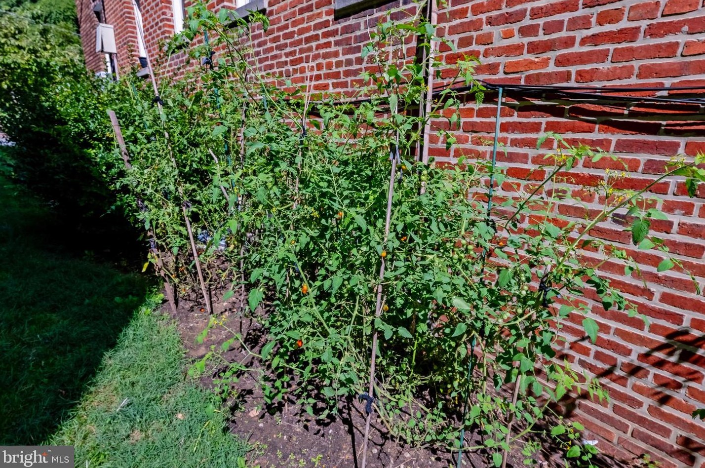 3409 29th St, Washington DC  20008-3246 exterior