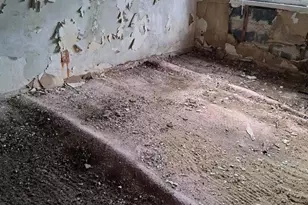 4803 10th St NE, Washington, DC 20017 - Photo 8