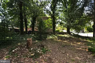 1619 Evarts St NE, Washington, DC 20018 - Photo 20