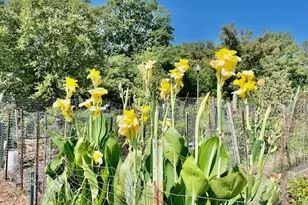 3720 39th St NW, Washington, DC 20016 - Photo 32