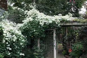 4114 Emery Pl NW, Washington, DC 20016 - Photo 62