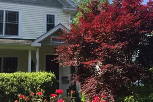 4114 Emery Pl NW, Washington, DC 20016 - Photo 64