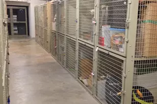 701 NW Pennsylvania Ave NW, Washington, DC 20004 - Photo 30